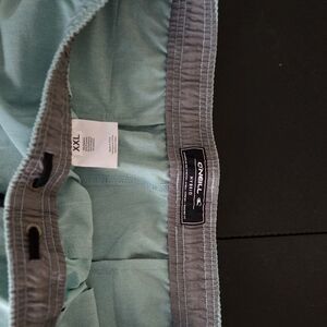 O'Neill Aqua and Gray Boardshorts